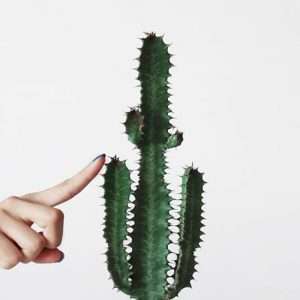 Top 5 ED Pills in the UK