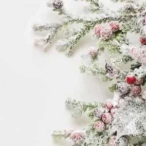 12 Days of a Healthy Eco-Christmas